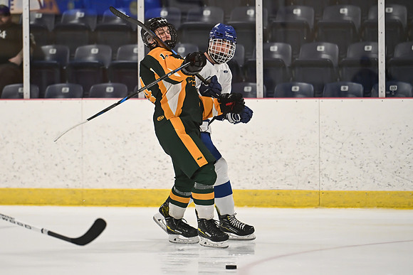 TIMBER CUP-8