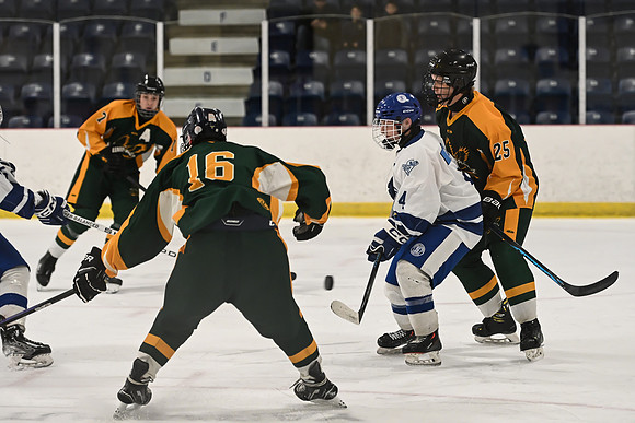 TIMBER CUP-109