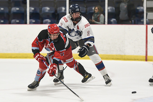 TIMBER CUP-15