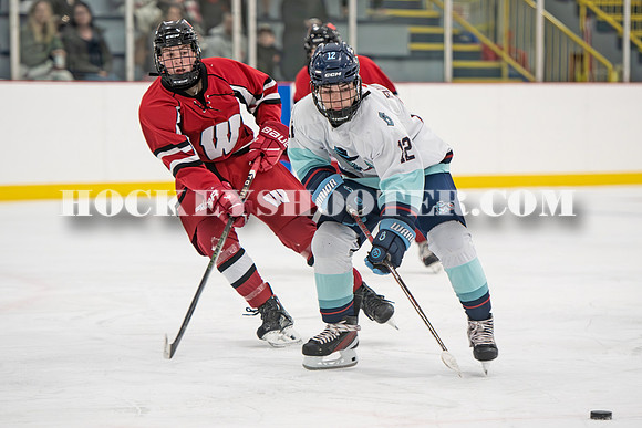 HURRICANES-110 copy