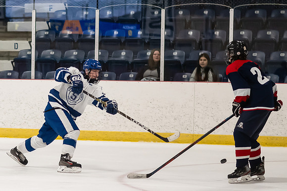 TIMBER CUP-41