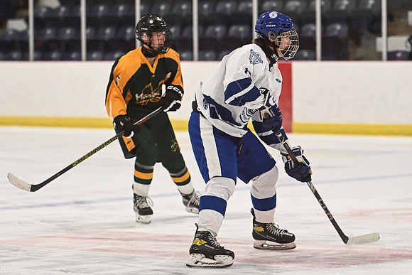 TIMBER CUP-25