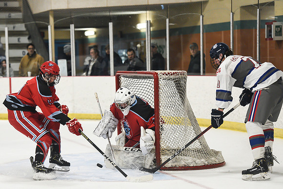 TIMBER CUP-73