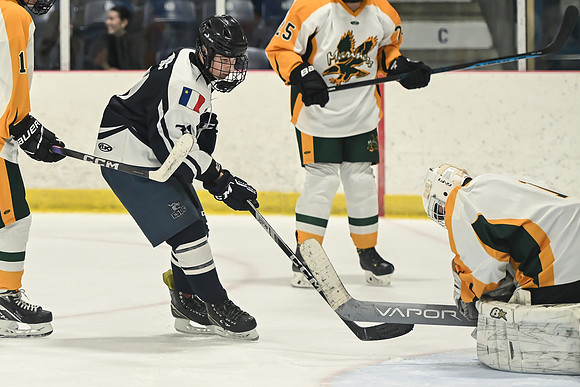 TIMBER CUP-95