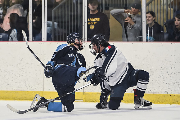 TIMBER CUP-202