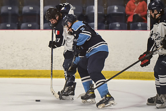 TIMBER CUP-65