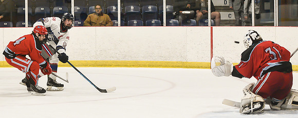 TIMBER CUP-153