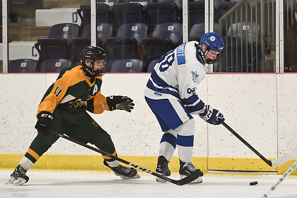 TIMBER CUP-4