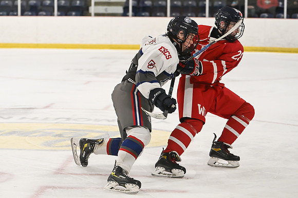 TIMBER CUP-127