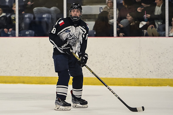 TIMBER CUP-203