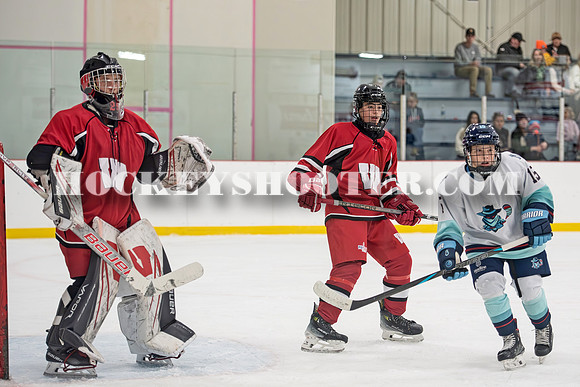 HURRICANES-131 copy