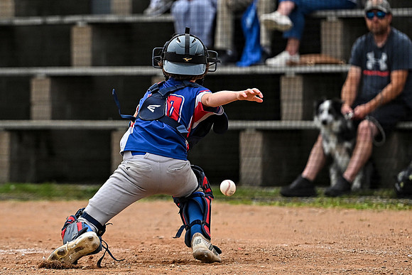 15U AA PROVINCIALS-64 copy