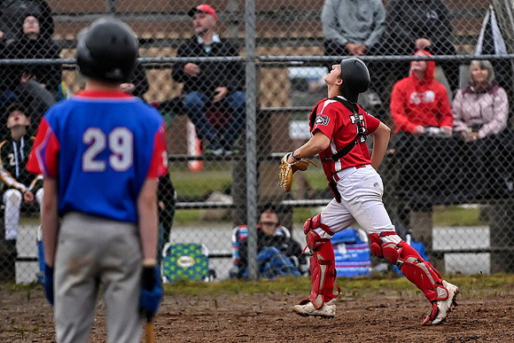 15U AA PROVINCIALS-435 copy