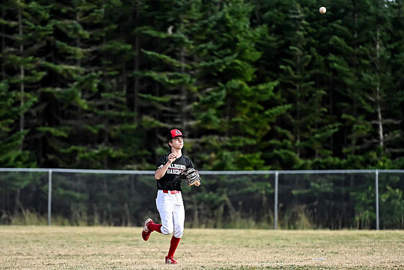15U AA PROVINCIALS-203 copy