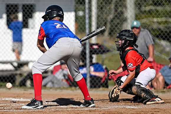 15U AA PROVINCIALS-115 copy