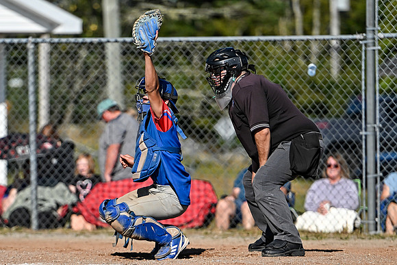 15U AA PROVINCIALS-231 copy