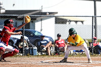 15U AA PROVINCIALS-13 copy