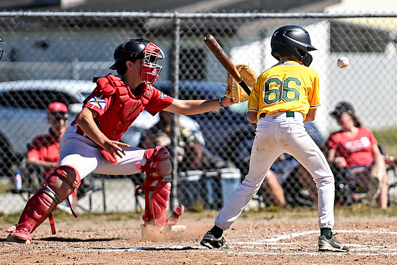 15U AA PROVINCIALS-48 copy