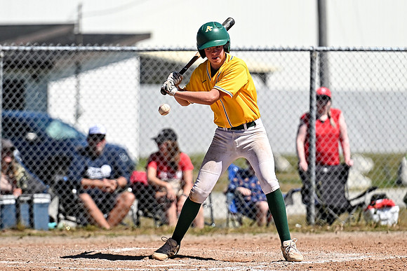 15U AA PROVINCIALS-263 copy