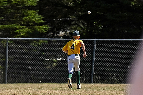 15U AA PROVINCIALS-291 copy