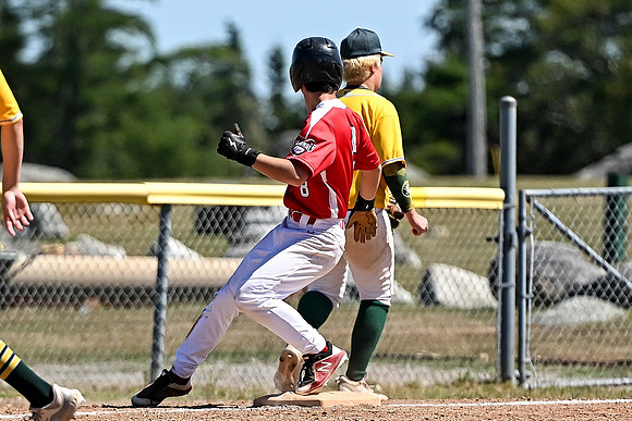 15U AA PROVINCIALS-293 copy
