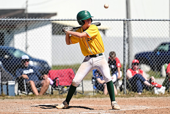 15U AA PROVINCIALS-387 copy
