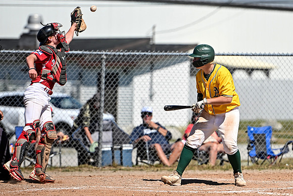 15U AA PROVINCIALS-431 copy