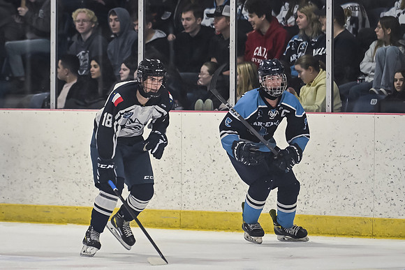 TIMBER CUP-273