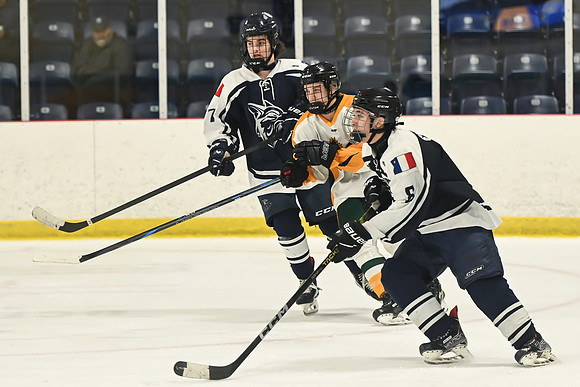 TIMBER CUP-35