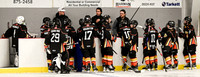 HALIFAX VS TASA