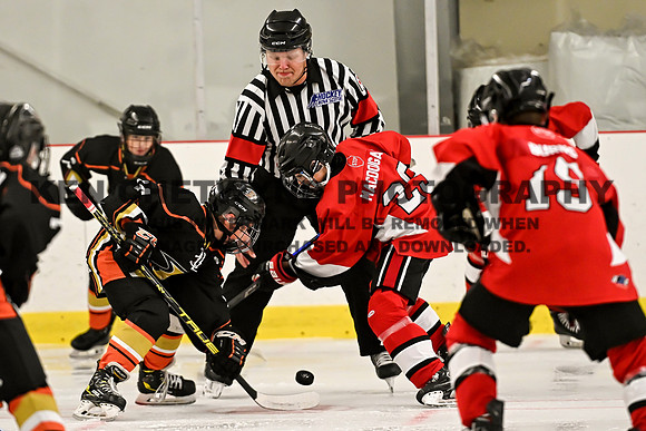 HALIFAX VS TASA-42 copy