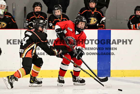 HALIFAX VS TASA-43 copy