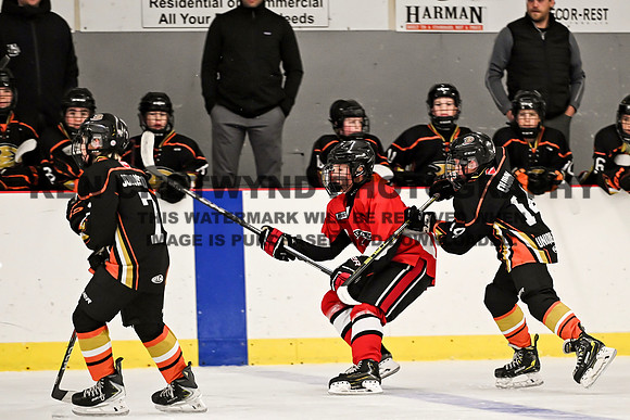 HALIFAX VS TASA-53 copy