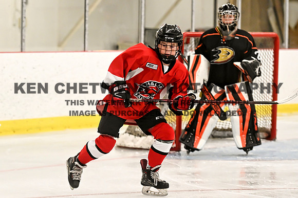 HALIFAX VS TASA-69 copy