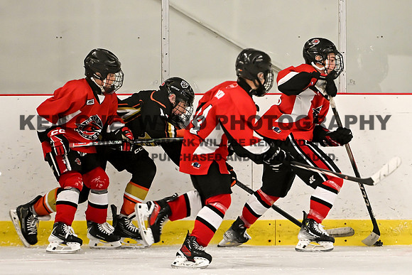 HALIFAX VS TASA-94 copy