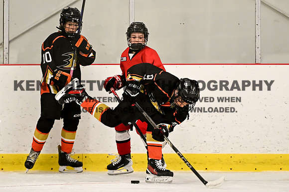 HALIFAX VS TASA-136 copy