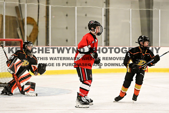 HALIFAX VS TASA-137 copy
