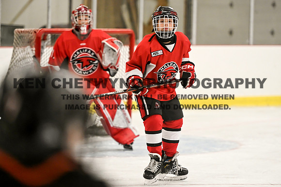 HALIFAX VS TASA-146 copy
