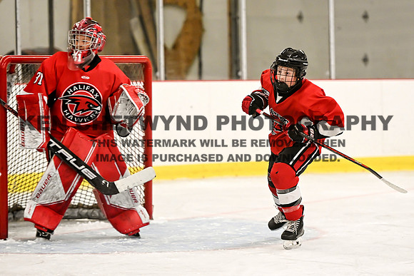 HALIFAX VS TASA-151 copy