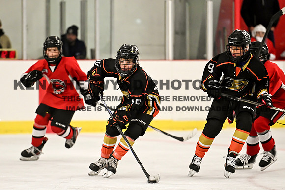 HALIFAX VS TASA-178 copy