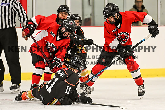 HALIFAX VS TASA-188 copy