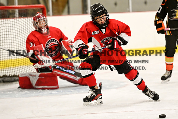 HALIFAX VS TASA-227 copy