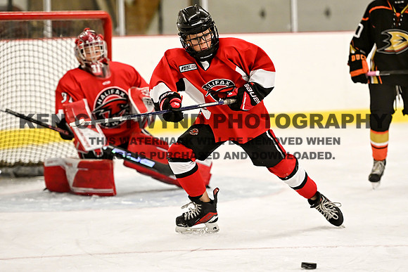 HALIFAX VS TASA-228 copy