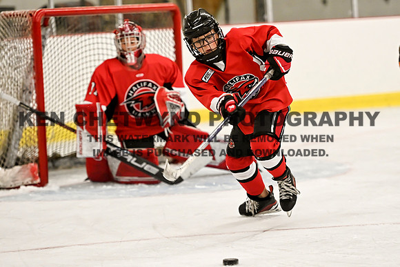 HALIFAX VS TASA-229 copy