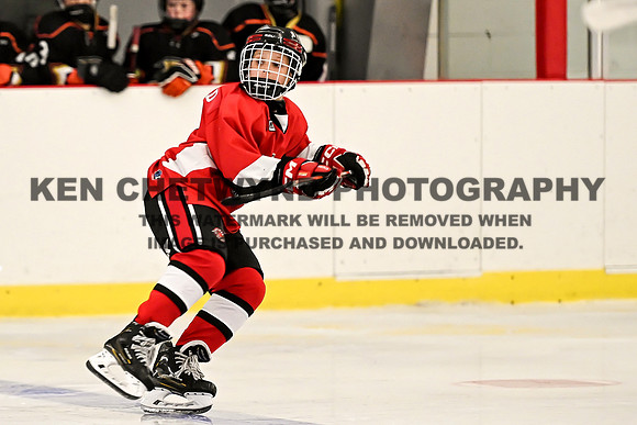 HALIFAX VS TASA-251 copy