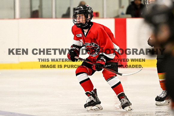 HALIFAX VS TASA-262 copy