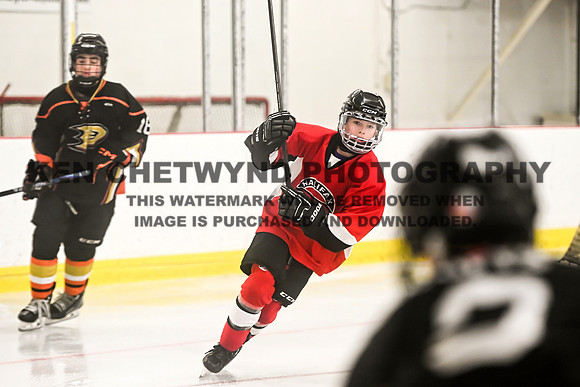 HALIFAX VS TASA-278 copy
