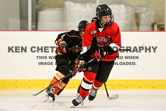 HALIFAX VS TASA-288 copy