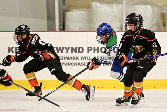 TASA vs Valley-79 copy