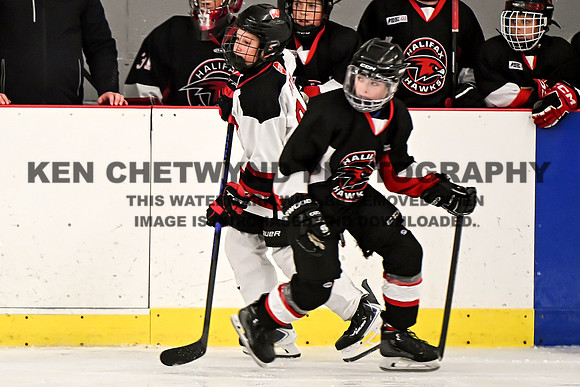 Halifax vs Western-29 copy
